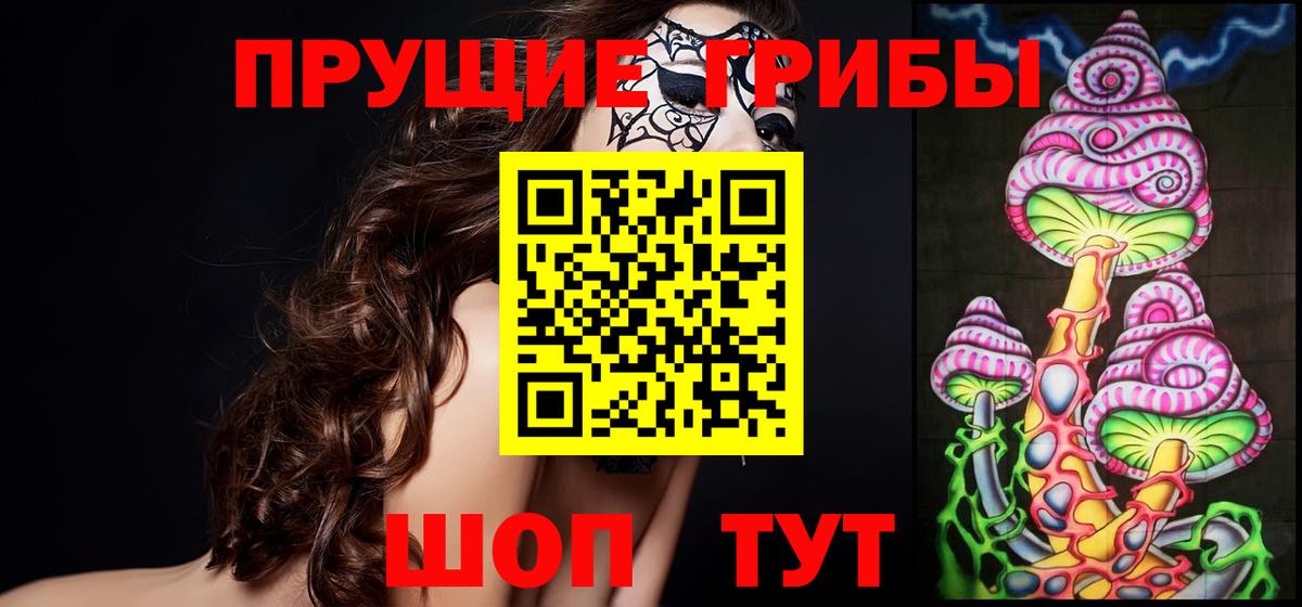 Псилоцибиновые грибы ЛСД  Псилоцибиновые грибы MAGIC MUSHROOMS  Отрадное  Вход с VPN 