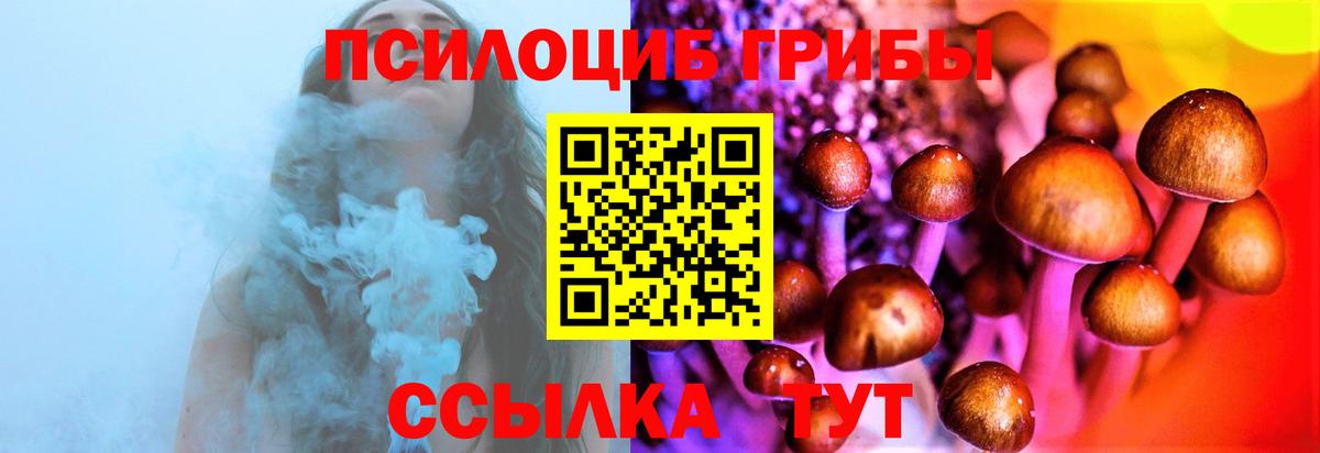 Псилоцибиновые грибы мицелий Отрадное